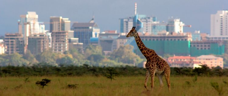 Kenya – Nairobi, place forte du business en Afrique